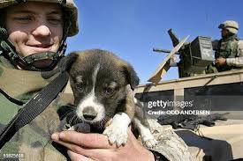 163 Mahmudiyah Location Stock Photos, High-Res Pictures, and Images