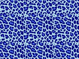 Pattern Blue Leopard Print Leopard Print Wallpaper Animal Print Wallpaper Cheetah Print Wallpaper