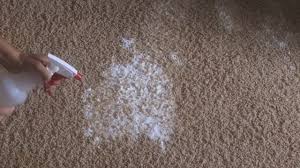 Then, unless the spot is brand. Fix This Homemade Natural Carpet Cleaning Solutions Youtube