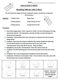 This Download Includes A Lab To Reinforce The Phases Of Mitosis Procedures And Answers Are Included In The Powerpo Mitosis Cell Processes Homeschool Students