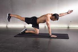 This gets your shoulder muscles more than your technical back muscles, but they're good for overall development. 6 Helpful Bodyweight Back Exercises
