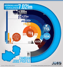 How Much Percent Of Zambia Have Jobs In 2016 Zambian African Impact Job