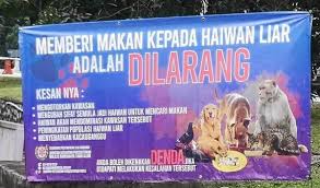 Gambar hitam putih drawing buah sayuran. Individu Beri Makan Haiwan Terbiar Perlu Bertanggungjawab