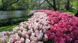 Choose from over a million free vectors, clipart graphics, vector art images, design templates, and illustrations created by artists worldwide! Top 10 Most Beautiful Gardens In The World The Mysterious World