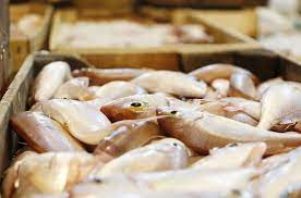 * değerli arkadaşlar burada sadece bölgenizdeki bıyıklı balık fiyatlarını paylaşınız.bıyıklı balık ile ilgili alım satım ilanı vermeyiniz.verdiğiniz alım satım ilanları silinecektir.alım satım ilanlarını aşağıdaki. Antalya Balik Hali Nde 1 Kilo Tavuk Fiyatina Bir Kasa Balik Gundem Haberleri