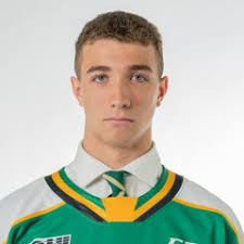 Logan mailloux, 18, has renounced himself from the 2021 nhl draft after paying a fine for an offense of a sexual nature in sweden last year, which had teams vowing not to select him this weekend. Hek0tsrzz0jmlm