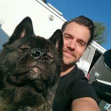 Henry Cavill and his dog Kal, who was named in honour of Superman's birth name “Kal-El” - Follow @mcufandom.in for more stuffs! - #henrycavill #dogs #actor #film #movies #superman #dc #viral