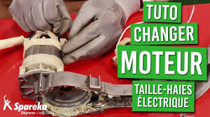 Tuto Comment Changer Le Moteur Du Taille Haies Electrique Taille Haie Electrique Comment Changer Haie
