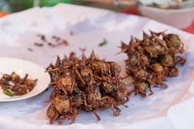 Here are some of their picks, along with several of our favorites! Weirdest Food In The World According To Experienced Travellers