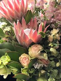 Order flowers online now @ star want same day flower delivery across melbourne? Flowers For Jane Same Day Flower Delivery In Melbourne Melbou 59a Fennell St Port Melbourne Vic 3207 Australia