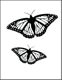 Most of us might already know that butterflies undergo a life cycle called metamorphosis. Pin On Butterflies And Other Insects
