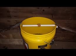 They almost always work and keep on working effectively for weeks the fact is, bucket traps are among the most effective of all mouse traps, both diy and store bought included in that assessment. Bucket Mouse Trap Youtube