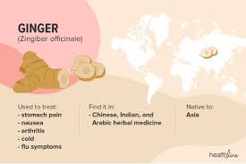 Migraine Herbal Remedies Peppermint Ginger And More