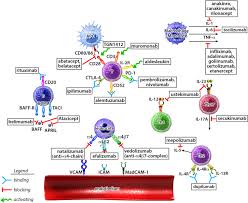 Silly shindo life custom mask id's (codes) подробнее. Biologic Response Modifiers Indications Implications And Insights Journal Of Allergy And Clinical Immunology