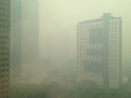 There were also reports of smoky burning smell typical of a haze by residents in certain parts of the country. Singapore Haze Apps Purifiers Sites To Help You Cope