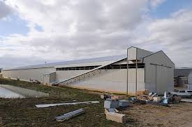 Modern house designs are those house designs that are based on the designs of the present times as opposed to the remote ones built in the past. Automated Poultry House Precise Buildings Poultry House House Chicken House