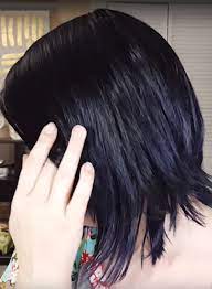 Dandruff Shampoo For Black Hair Dry Shampoo Black Hair Hair Color Shampoo Black Hair Shampoo