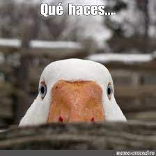 Meme Que Haces All Templates Meme Arsenal Com
