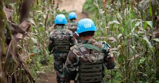 There's not a specific bachelor's degree required, but you want to study something that's relevant: The Challenges Faced By U N Peacekeeping Missions In Africa