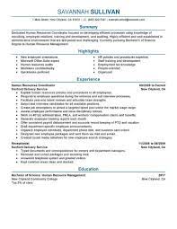 As an hr you would know it better than others, how important the resume is. Amazing Human Resources Resume Examples Livecareer