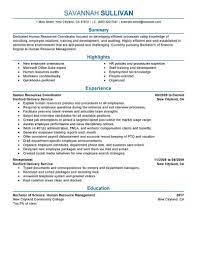 A company's most valuable resource is its employees. Amazing Human Resources Resume Examples Livecareer