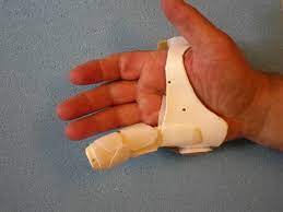 Woche 2 Gravad Lax Abgeschlossen Handlungs Plan