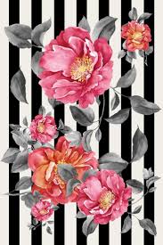 Pin De Numyylmz En Wallpaper Fondos De Flores Fondos De Pantalla De Escritorio Ideas De Fondos De Pantalla