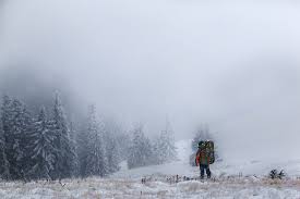 Official instagram for the revenant, starring leonardo dicaprio, tom hardy, will poulter, and directed by academy award winner alejandro g. Der Revenant Modus Ruckkehr Zum Ur Stoffwechsel