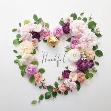 Yoko On Instagram May 20 2020 Bethankful All Roses Are From My Little Garden What Is Your Favorit In 2020 Pressed Flower Art Flower Art Flower Quotes
