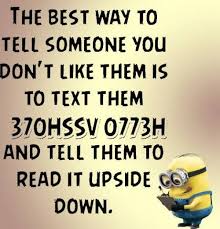 Because the sister knows what love is and brother knows what boys are. The Best Way To Tell Someone Funny Quotes Funny Minion Quotes Funny Minion Pictures