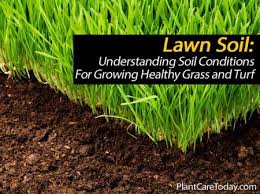 Cucumber trellises, pea trellises, bean trellises Lawn Soil Understanding Soil Conditions For Growing Healthy Grass And Turf