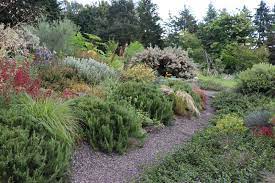 Check spelling or type a new query. Before And After Pruning The Rosemary