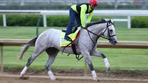 What kentucky derby horses are the favorites for the 2020 race? Kentucky Derby Here S What The Owners Can And Can T Name Their Horses