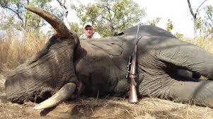 Elephant hunting trips - BookYourHunt.com