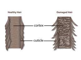 master the skills of hair cuticle repair once and for all