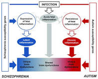 Image result for Schizophrenia or Autism description within a Case Study format of a child (include age, symptoms, characteristics, intervention plan etc)