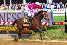 98th preakness stakes may 15, 1973. Ong6swnaka95vm