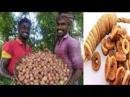 How To Make Dry Fig Fruit Athipalam Dry Fig Fruit In Tamil Fig Fruit Village Style Cooking Youtube Fig Fruit Dried Figs Fig