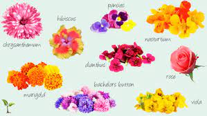 Shop our same day flower and gift delivery selection. Edible Blooms Raw Blend