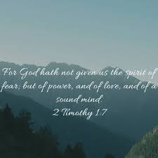 Profile for Michael Broy