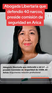 Boric Estamos Contigo (grupo oficial)