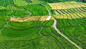 Menurut islam, segala pencapaian sains dan teknologi tidak bermakna jika kebenaran mutlak (absolute truth) dinafikan. Zaman Serba Teknologi Tanam Padi Sekarang Gunakan Drone