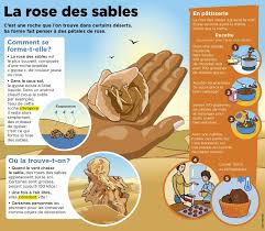 Epingle Par Tintin Quem Sur French Language Culture Generale Science Geographie