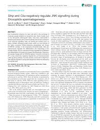 Considering a career at adam & co. Http Dev Biologists Org Content Develop Early 2019 05 31 Dev 174292 Full Pdf