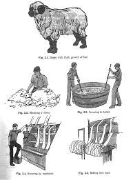 We hope that you find the site useful. Fibre To Fabric My Solution Guru