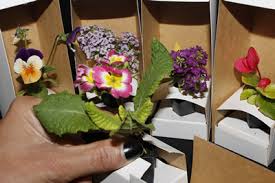 Juegos baby shower mixto tags : Que Premios O Regalos Doy Para Los Juegos De Baby Shower Club Diciembre 2016 Babycenter