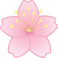 Free Cherry Blossom Clipart Download Free Clip Art Free Clip Art On Clipart Library Cherry Blossom Clip Art Cherry Blossom Drawing Sakura Art