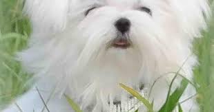 Pin On The Lil Princess