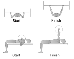 Image result for bench press