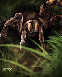 Aranha golias mata rato ! Victor Cutini Aranha Golias